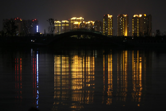 湿地公园夜景