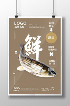 鮮魚海報 超市海報 農(nóng)業(yè)品牌