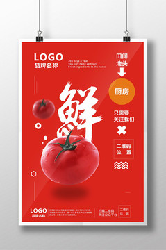 番茄海報(bào) 超市海報(bào) 農(nóng)業(yè)品牌