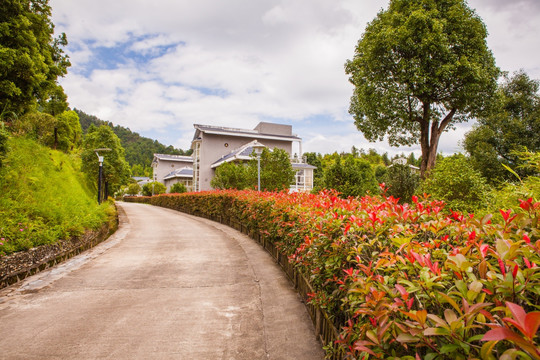 古田山庄别墅区小路