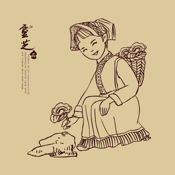 摘靈芝 采靈芝 靈芝包裝設(shè)計(jì)