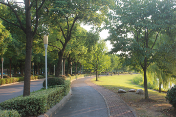 校园道路