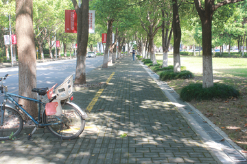 大学道路