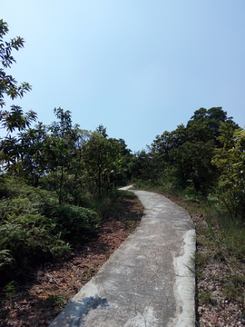 山间道路