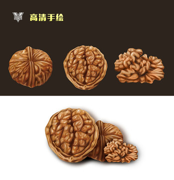 手繪核桃