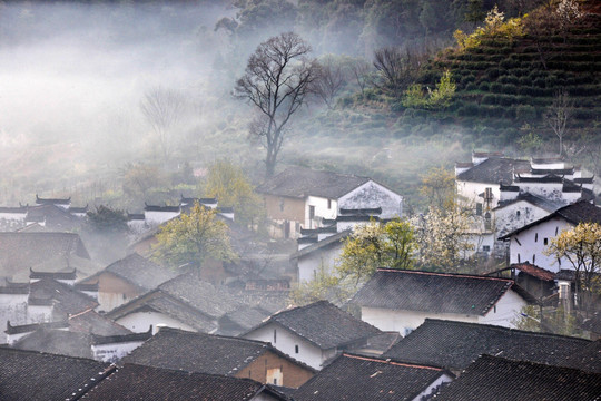 婺源