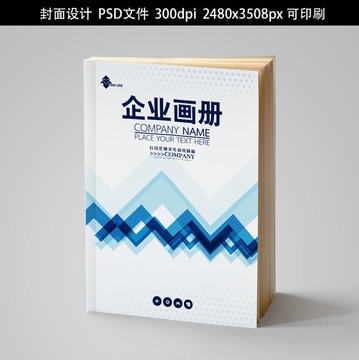 企業(yè)畫冊(cè)書籍標(biāo)書封面招商手冊(cè)