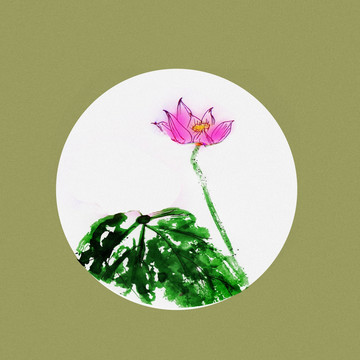 寫意荷花 手繪 合層