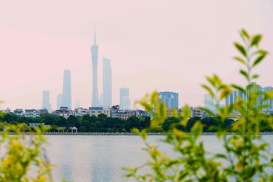 城市风景