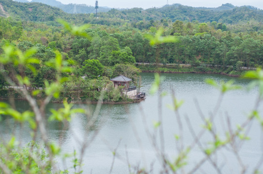 红花湖风光