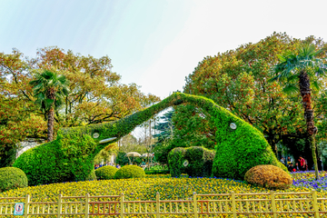 立体花坛 植物墙 花墙 植物艺