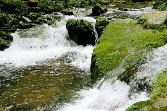 小溪流水