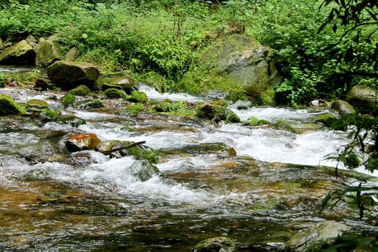 小溪流水