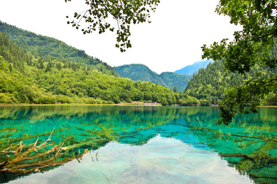 九寨沟 湖光山色 山水风光