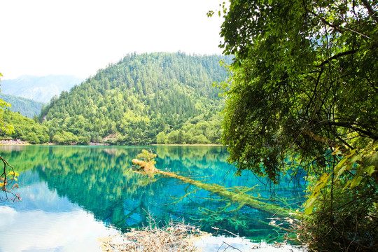 九寨沟 湖光山色