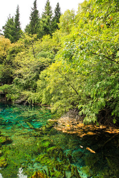 九寨沟 湖光山色