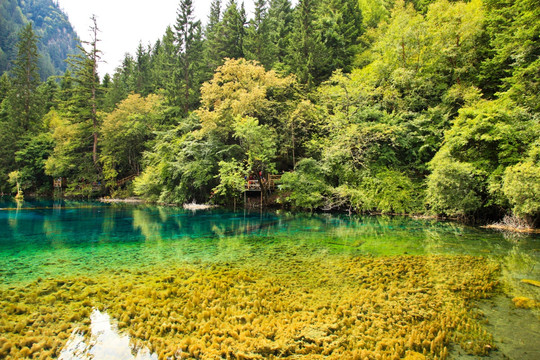 九寨沟 湖光山色