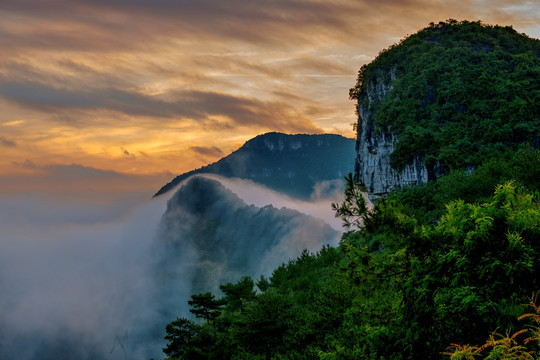 雾景