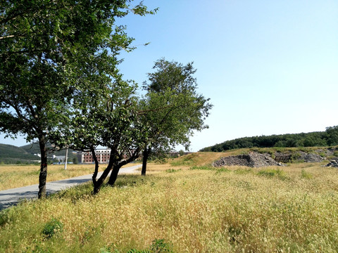 蓝天路边远山野草地