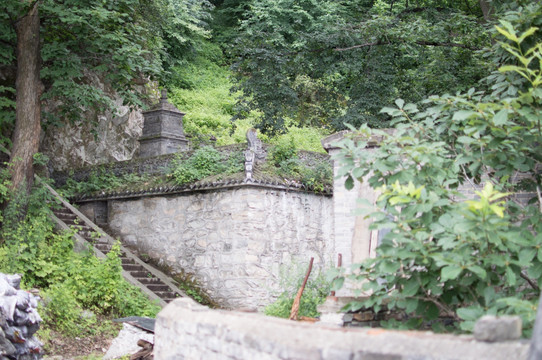 终南山南五台紫竹林