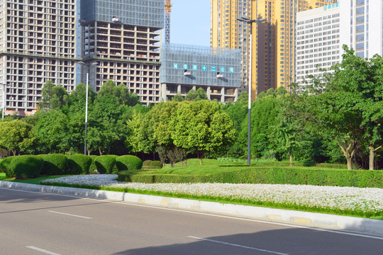 城市道路 路缘花境 城市绿化