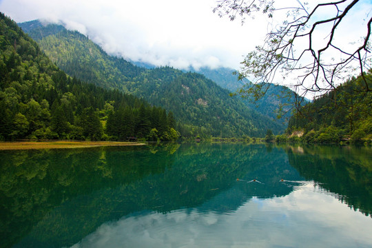 九寨沟 湖光山色 山水风光