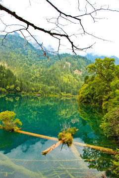 九寨沟 湖光山色