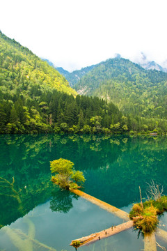 九寨沟 湖光山色