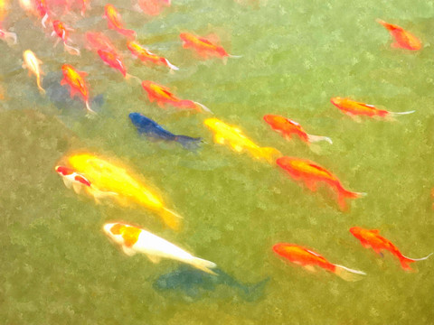 錦鯉魚群水彩畫裝飾畫