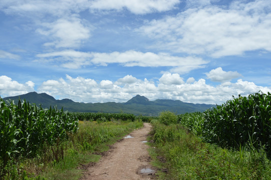 山间小道