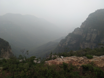 晨雾 山