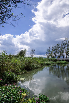 滇池湿地风光