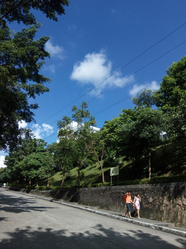 下坡道路风景