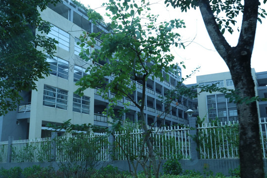 小学建筑