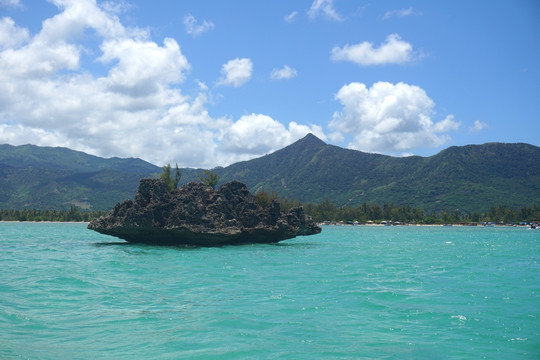 毛里求斯海豚湾