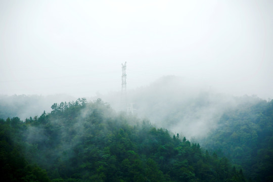 云雾山中