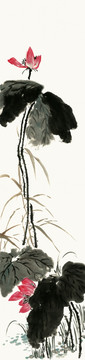 國(guó)畫(huà)荷花