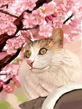 猫咪插画 猫绘画 可爱猫咪