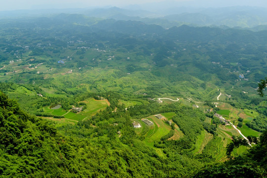 云雾山里