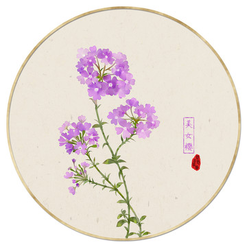 美女櫻