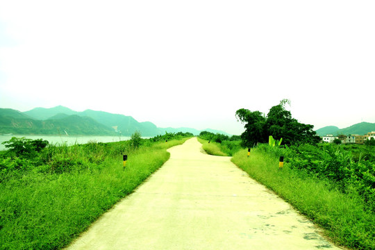 乡村水泥路 公路道路