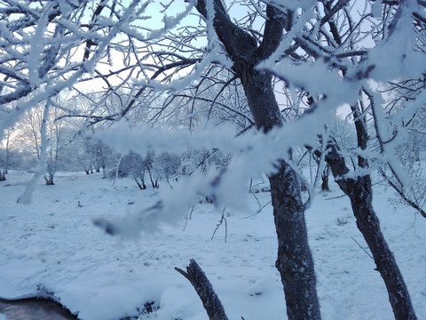 坝上雪景