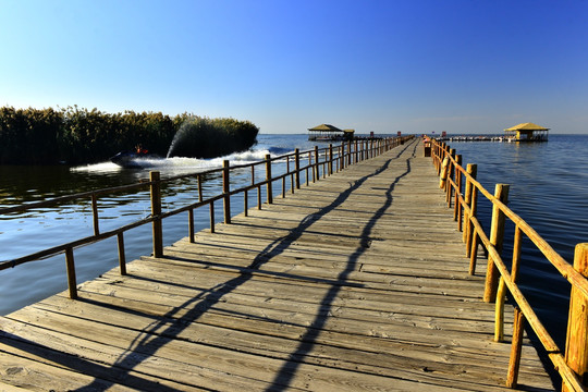 乌梁素海风景区