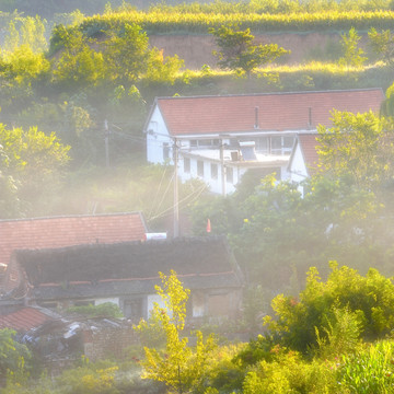 绿色乡村