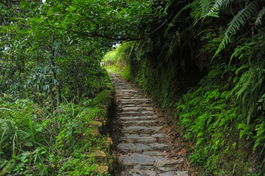 石板路