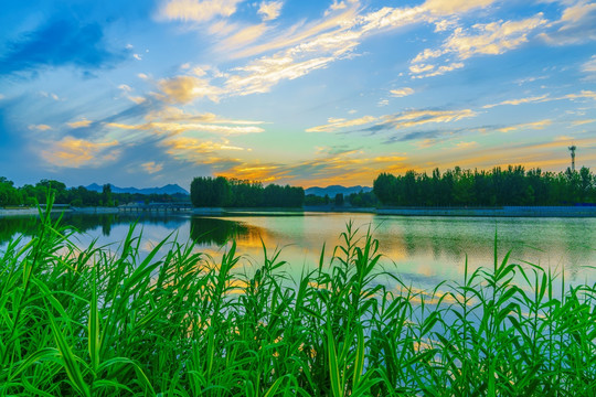 芦苇湖景晚霞