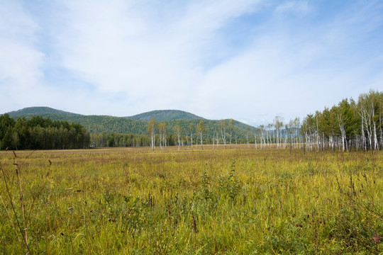 远山树林草地