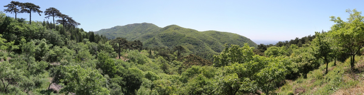 妙峰山宽屏风景