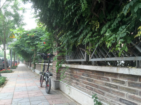 天津 北京 五大道 骑行 骑车