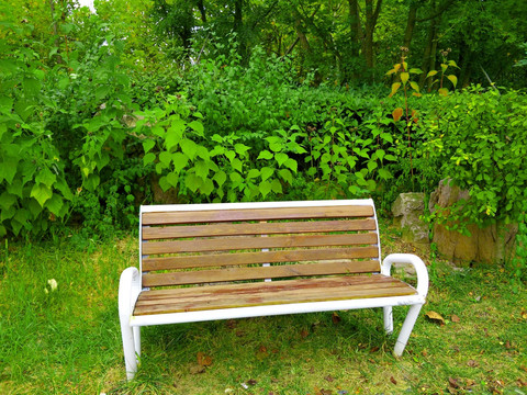 公园座椅 绿色公园